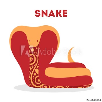 Vector illustration of traditional chinese zodiac animal