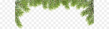 Vector leaves 