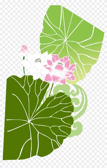 Vector Lotus 1875*1875 Transprent Png Free Download - Vector Lotus 1875*1875 Transprent Png Free Download