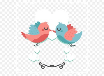 Vector Love birds 