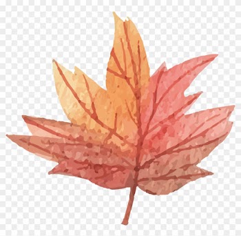 Vector Maple Leaf - Maple Leaf