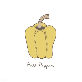 Vector of a bell pepper | Free stock vector - 251578