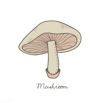 Vector of a mushroom | Free stock vector - 251547