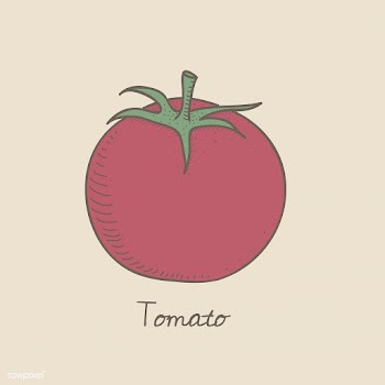 Vector of a tomato | Free stock vector - 251496