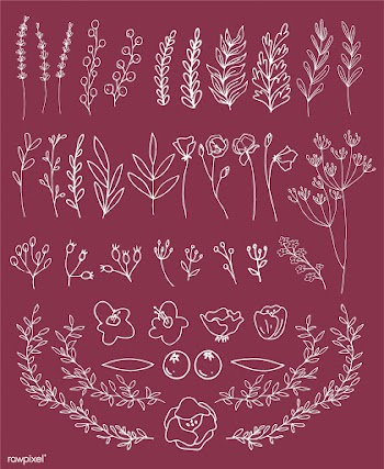 Vector of floral banner set | Free stock vector - 24109