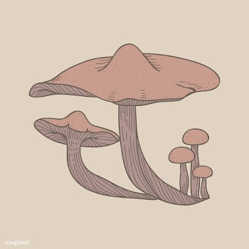 Vector of mushroom | Free stock vector - 251507