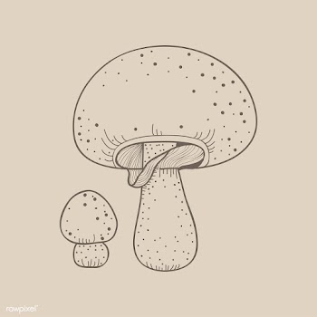 Vector of mushroom | Free stock vector - 251519