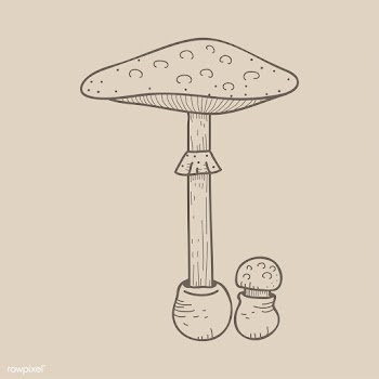 Vector of mushroom | Free stock vector - 251550