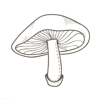 Vector of mushroom | Free stock vector - 251576
