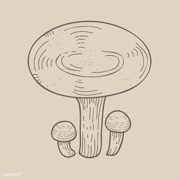 Vector of mushroom | Free stock vector - 251581
