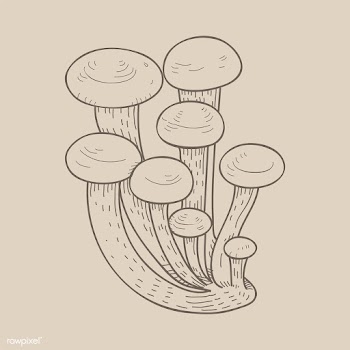 Vector of mushroom | Free stock vector - 251582