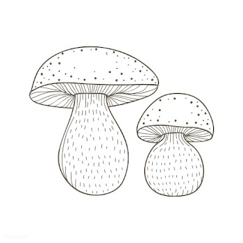 Vector of mushroom | Free stock vector - 251595