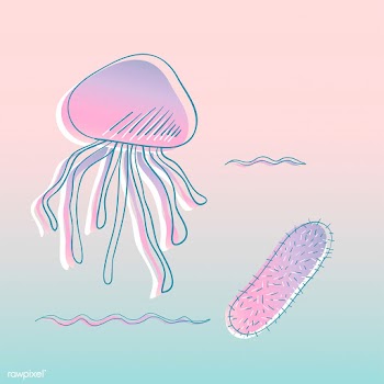 Vector of underwater creatures | Free stock vector - 46993