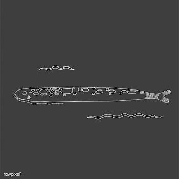 Vector of underwater creatures | Free stock vector - 46998