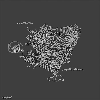 Vector of underwater creatures | Free stock vector - 46999