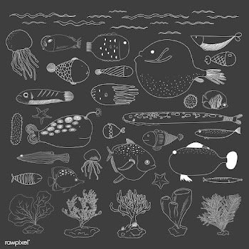 Vector of underwater creatures | Free stock vector - 47005