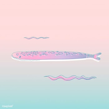 Vector of underwater creatures | Free stock vector - 47007