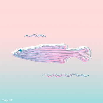 Vector of underwater creatures | Free stock vector - 47010