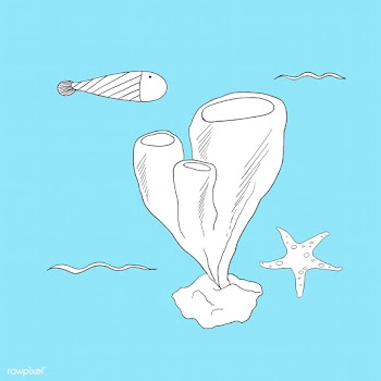 Vector of underwater creatures | Free stock vector - 47013