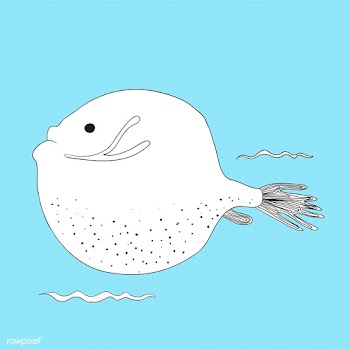 Vector of underwater creatures | Free stock vector - 47021