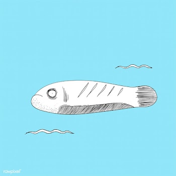 Vector of underwater creatures | Free stock vector - 47023