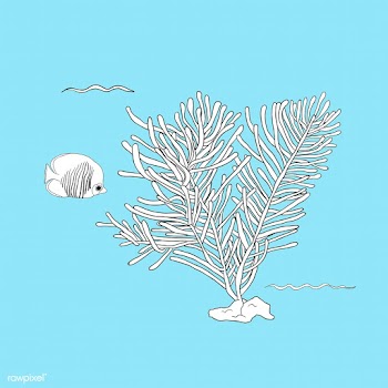 Vector of underwater creatures | Free stock vector - 47027