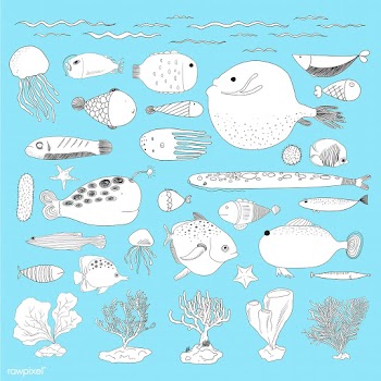 Vector of underwater creatures | Free stock vector - 47028