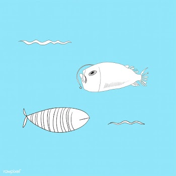 Vector of underwater creatures | Free stock vector - 47036