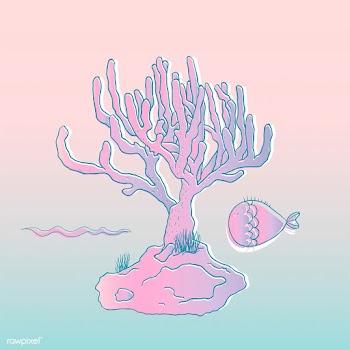 Vector of underwater creatures | Free stock vector - 47037