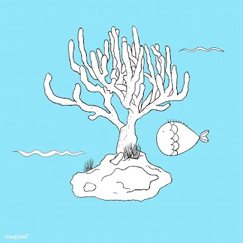 Vector of underwater creatures | Free stock vector - 47042