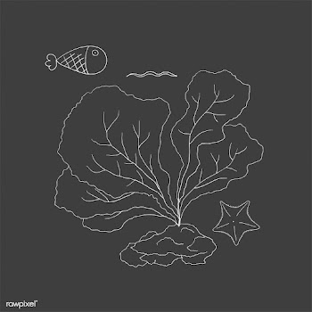 Vector of underwater creatures | Free stock vector - 47048