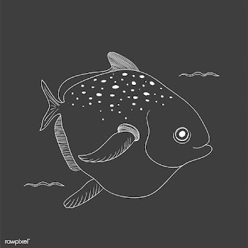 Vector of underwater creatures | Free stock vector - 47051