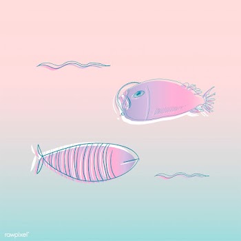 Vector of underwater creatures | Free stock vector - 47064