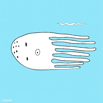Vector of underwater creatures | Free stock vector - 47072