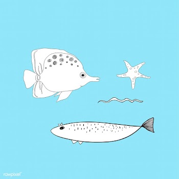 Vector of underwater creatures | Free stock vector - 47073