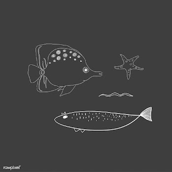 Vector of underwater creatures | Free stock vector - 47077