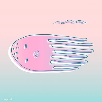 Vector of underwater creatures | Free stock vector - 47078