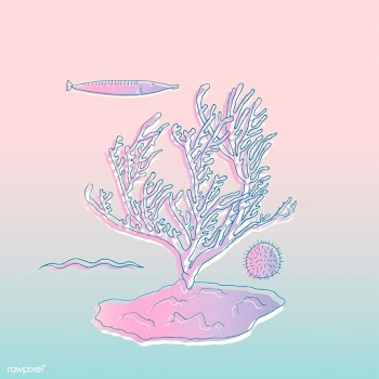 Vector of underwater creatures | Free stock vector - 47079
