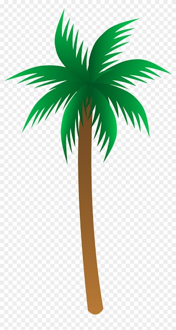 Vector Palm Tree Clip Art Palm Trees Clipart Mylocalguide - Palm Tree Clipart Png