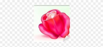 Vector Photo-realistic Pink Rose Wall Mural • Pixers® - Garden Roses