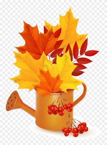 Vector Pouring Kettle Maple Leaf - Vector Pouring Kettle Maple Leaf