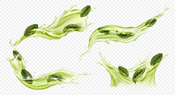 Vector realistic splash of green tea or matcha Free Vector