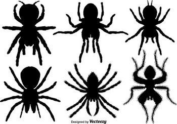 Vector Set Of Tarantula Icons