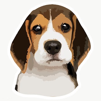 Vectorized adorable beagle sticker with a white border | Free  transparent png - 2361512