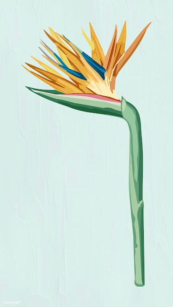 Vectorized bird of paradise sticker overlay design element | Free  vector - 2361311
