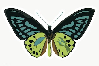Vectorized butterfly sticker overlay with a white border design elemen.. | Free  transparent png - 2361524