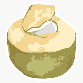 Vectorized coconut fruit sticker with a white border | Free  transparent png - 2354423