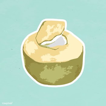 Vectorized coconut fruit sticker with a white border | Free  vector - 2354352
