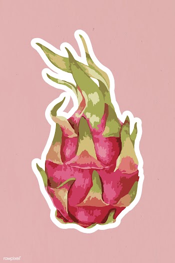 Vectorized dragon fruit sticker with a white border | Free  vector - 2354358