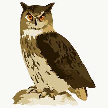 Vectorized Eurasian eagle-owl sticker overlay design element | Free  transparent png - 2361558